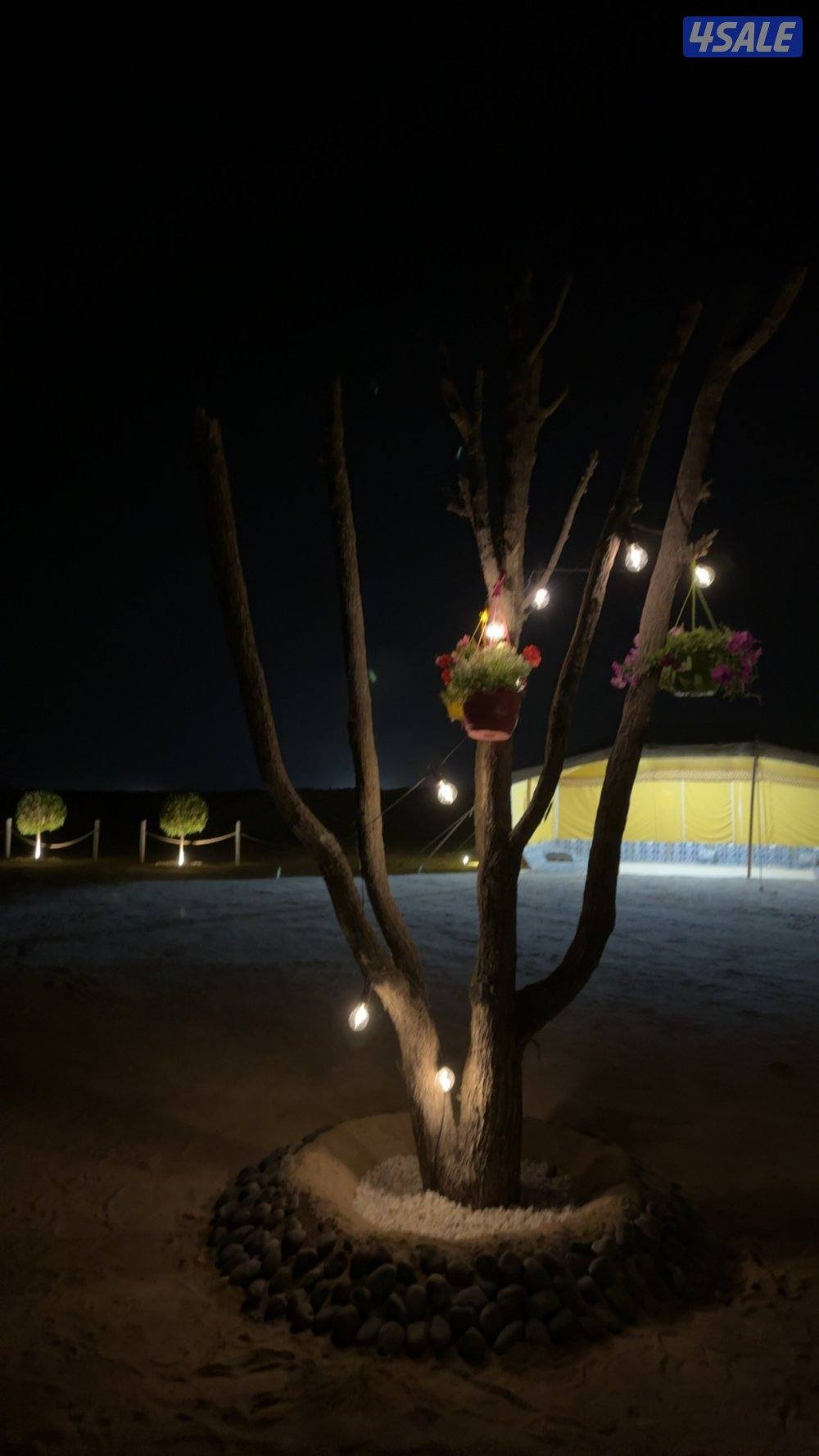 🔥 مخيم الفهد 🔥12