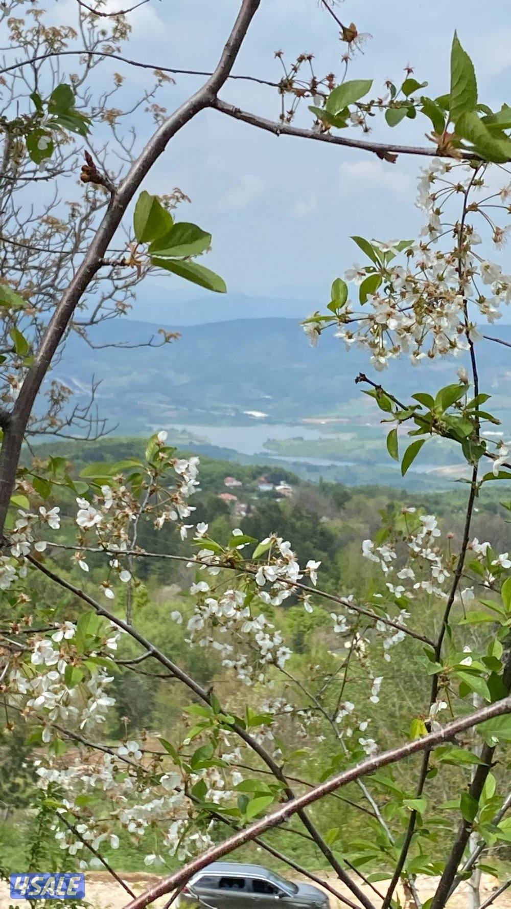 ارض عرصة سكنية في اولوداغ1