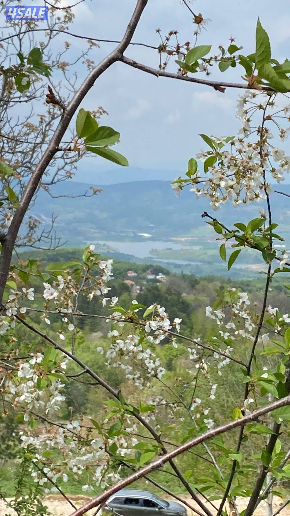 ارض عرصة سكنية في اولوداغ5