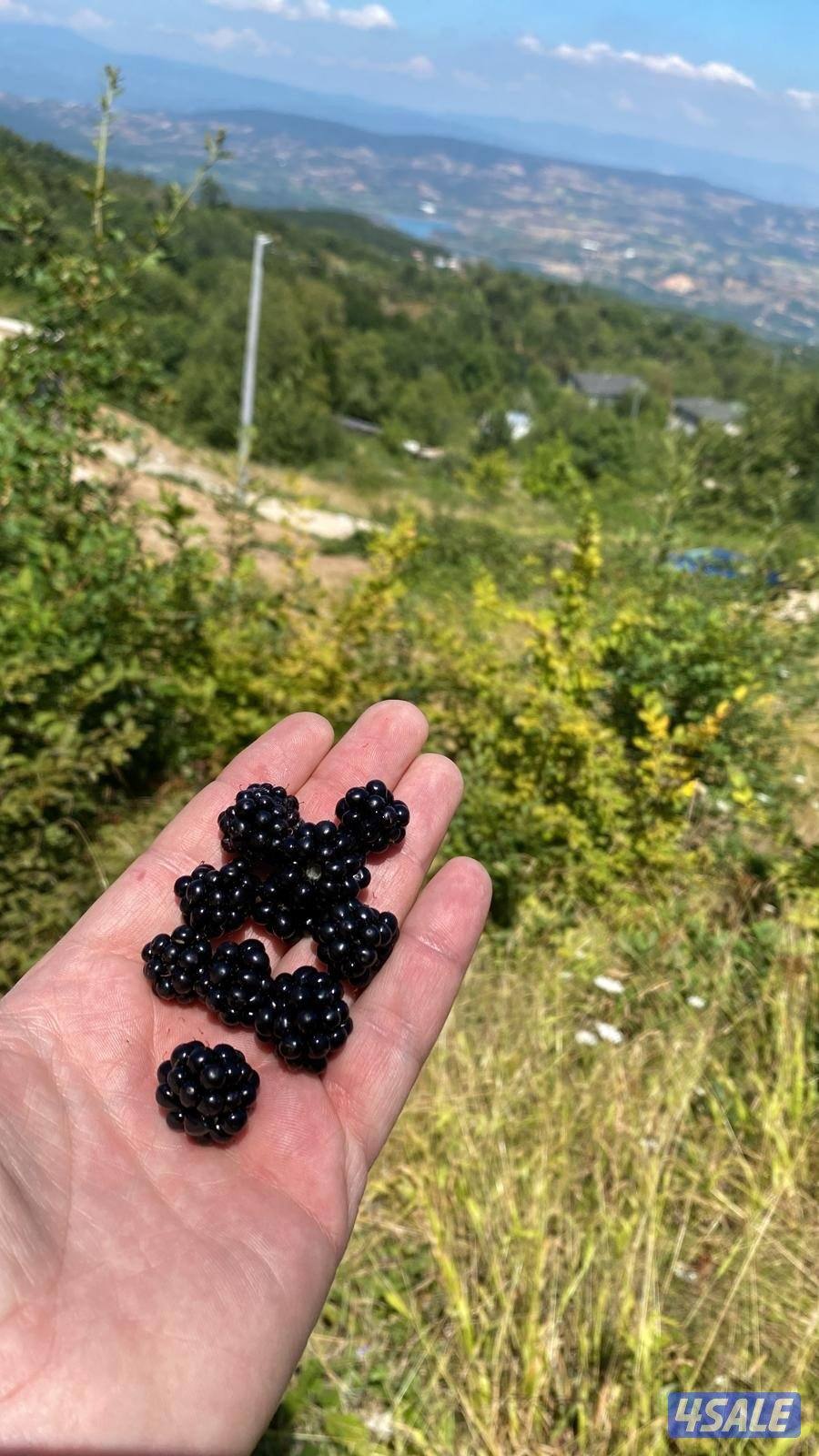 ارض عرصة سكنية في اولوداغ10