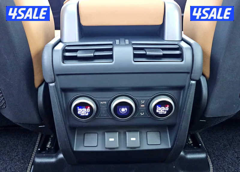 Defender 110 Carpathian Edition19