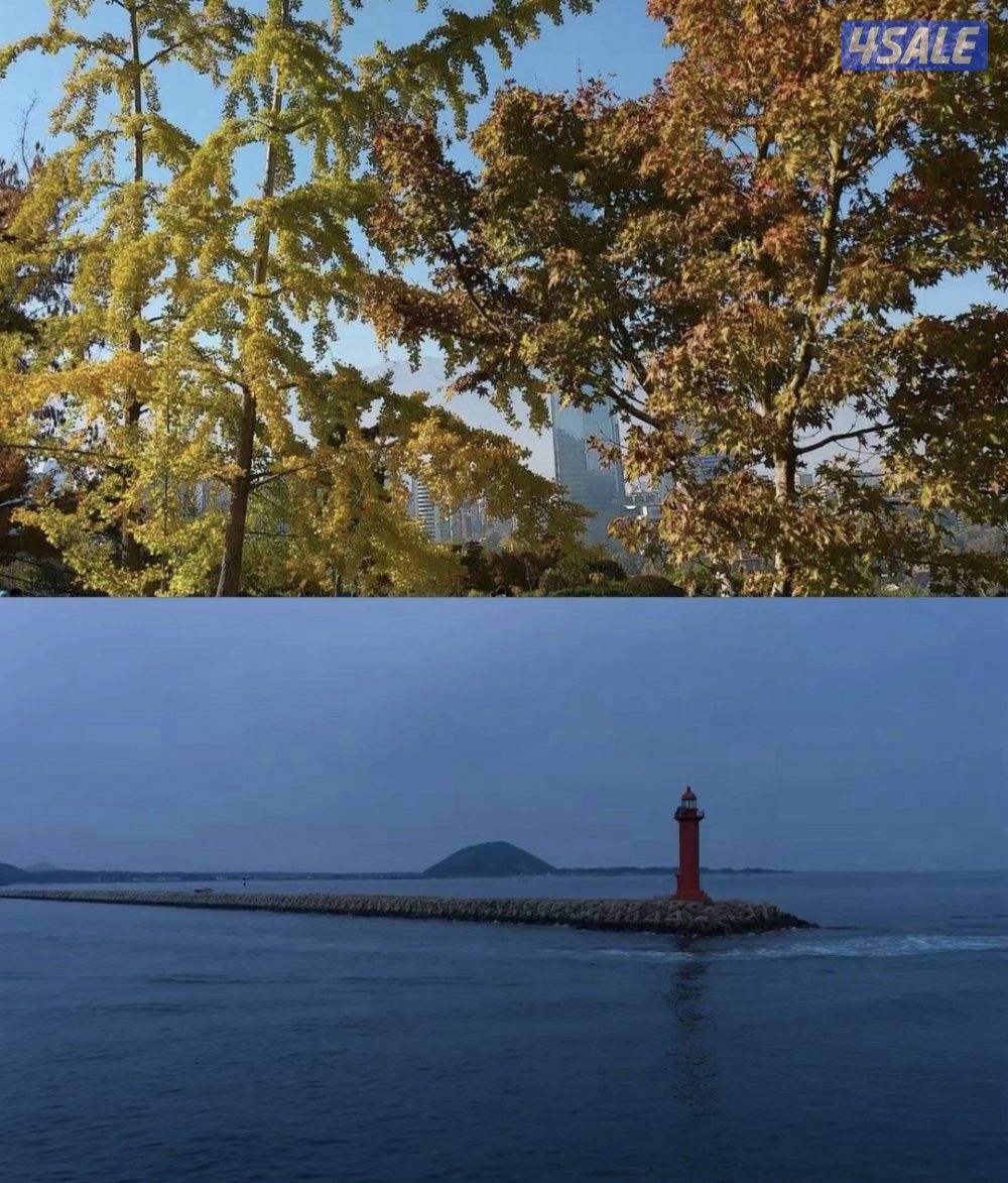 بديل كانون2