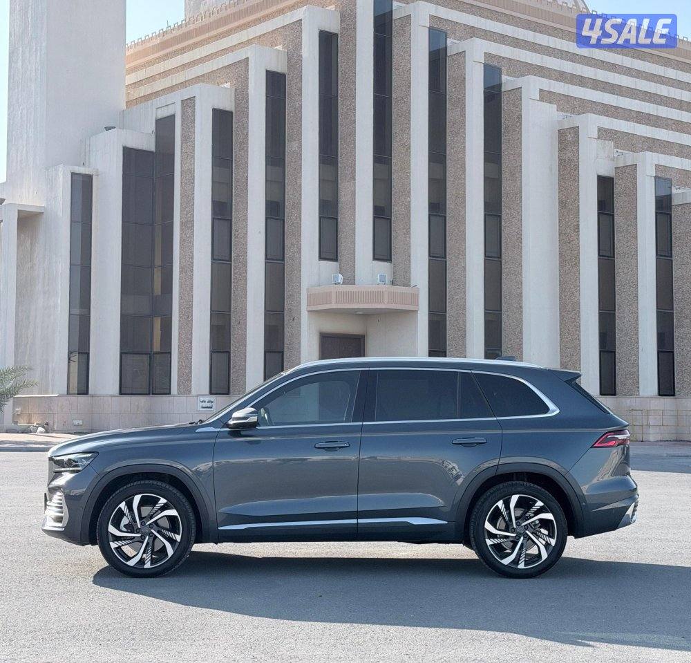 اعلى درجة صبغ الوكالة تحت الكفالة2