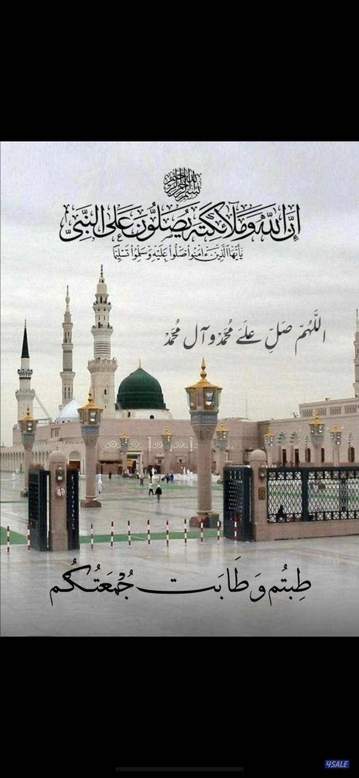 ابحث عن دوام جزئي ادارة وادخال بيانات وترجمة0