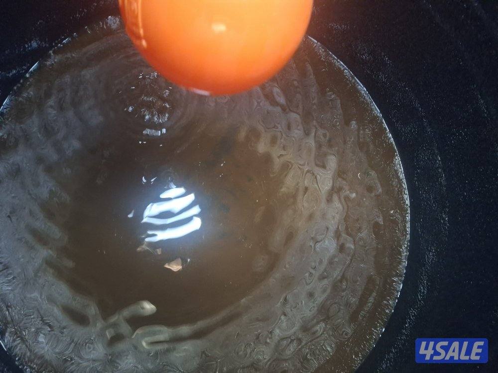 تصليح وتغسيل جميع التوانكي باقل الاسعار خدمه ٢٤ساعه5