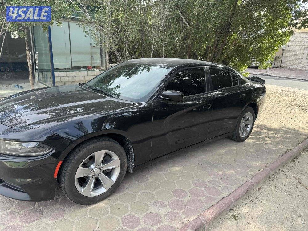 شرط الفحص قير مكينه شاصي بدي العداد ١٢٥ الف1