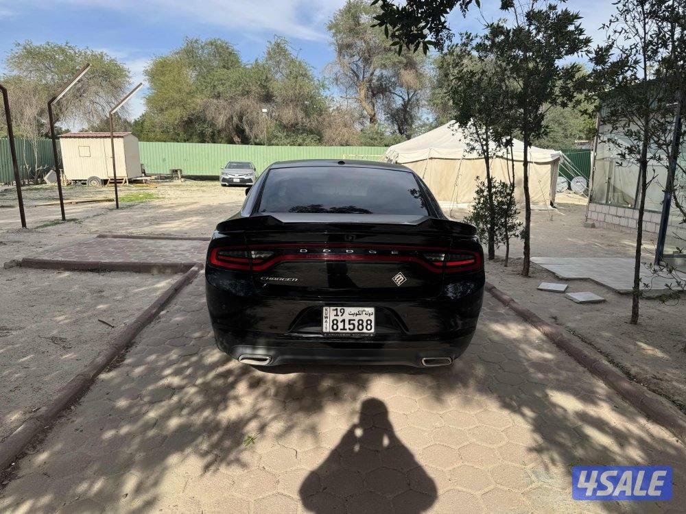 شرط الفحص قير مكينه شاصي بدي العداد ١٢٥ الف6