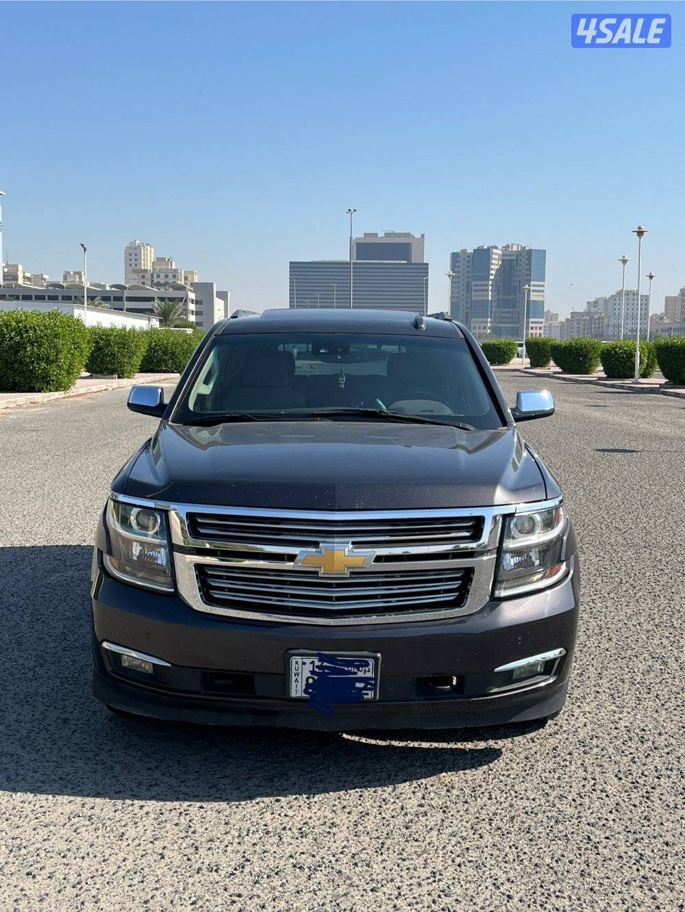 صبغ وكاله شرط الفحص LT22