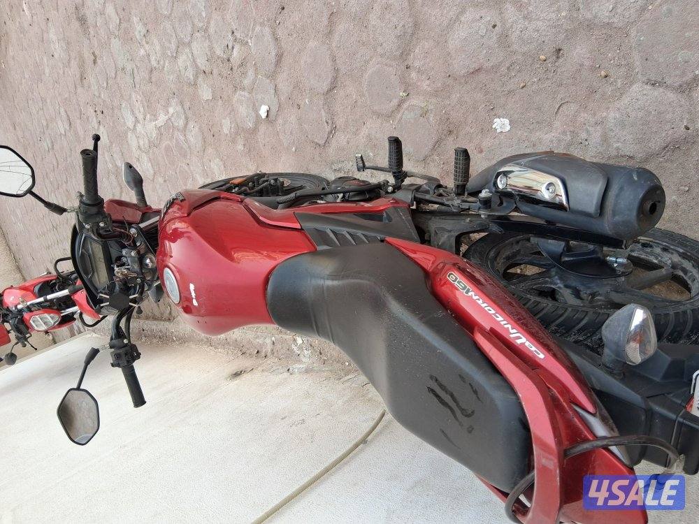 حولي قطعه 42