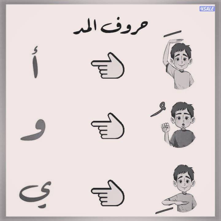 مدرس لغة عربية خبرة تأسيس1