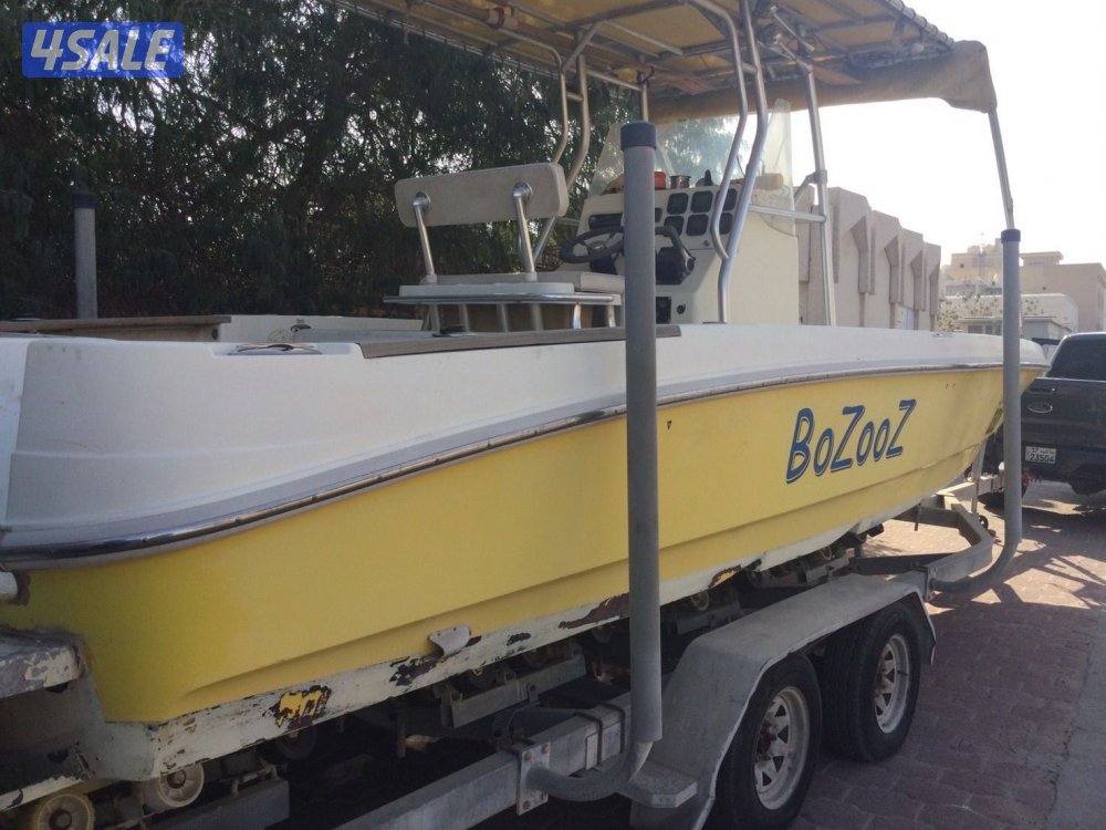 الطراد ٢٠١٠ امريكي صناعة في الصين0