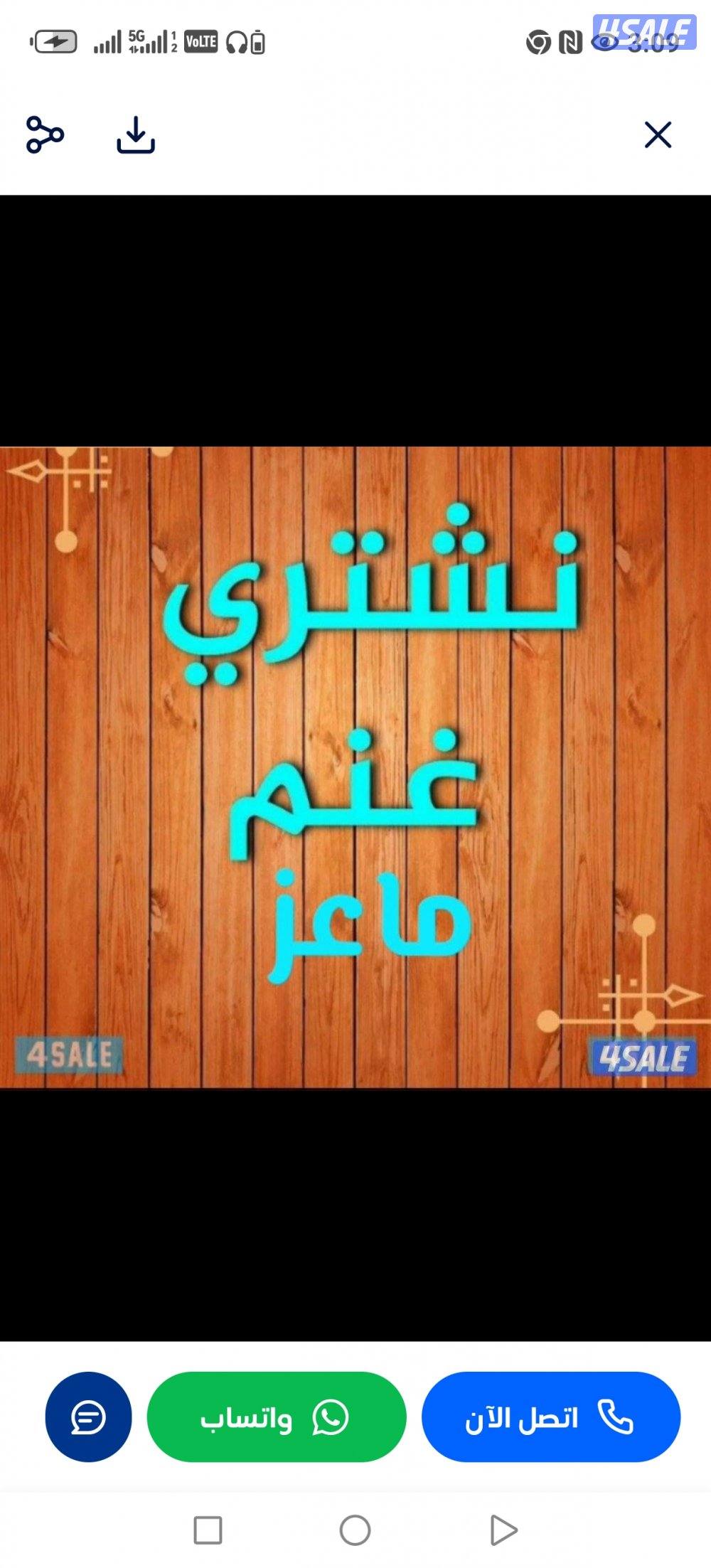 نشتري جميع انواع الحلال غنم معزا ح0