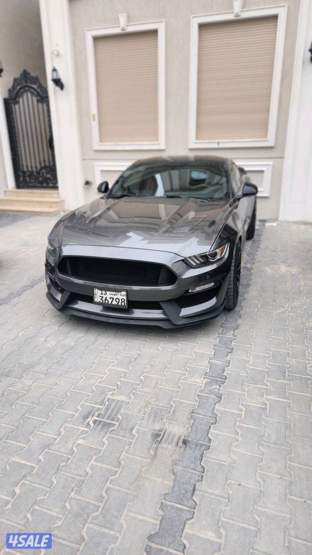 موستنج gt 20161