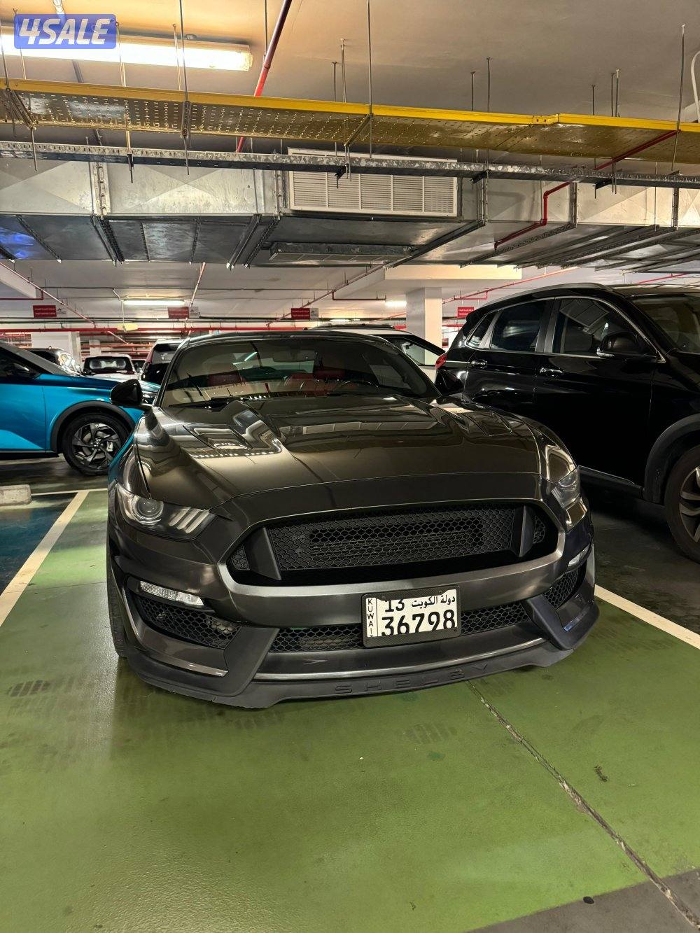 موستنج gt 20164