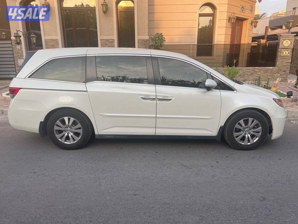 وكالة شرط الفحص لايوجد أصباغ2