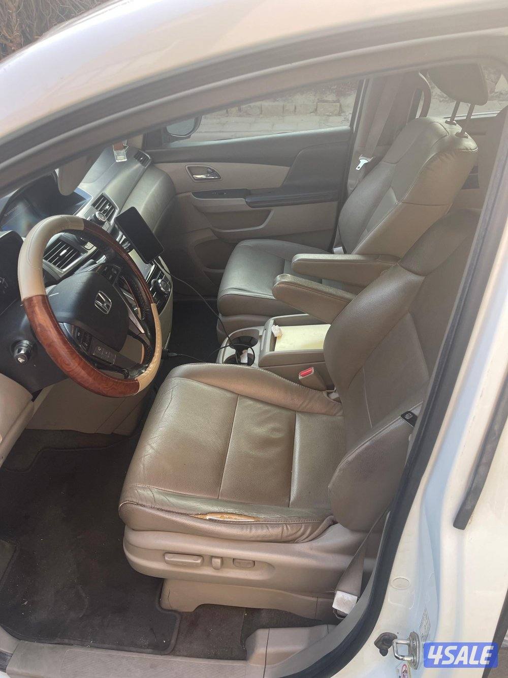 وكالة شرط الفحص لايوجد أصباغ4