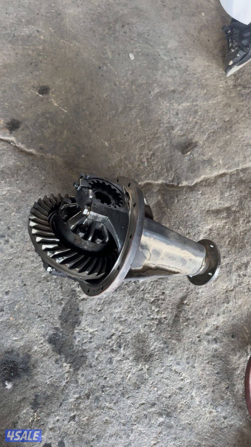 سفاري الفين 20034