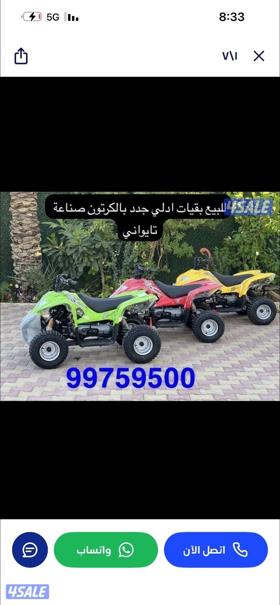 للبيع بقيات العميري جدد بالكرتون3