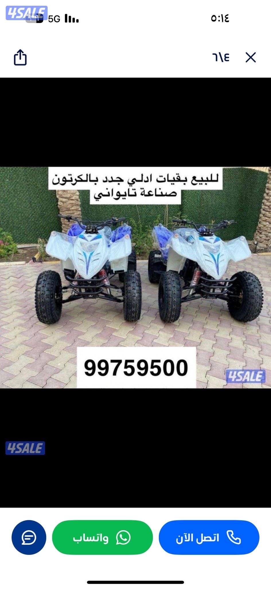 للبيع بقيات العميري جدد بالكرتون7