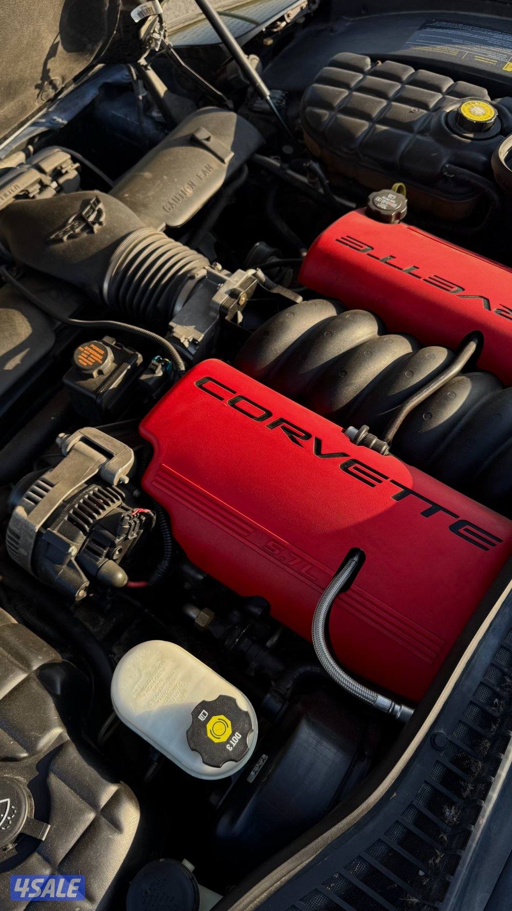 كورفت zo6 الاصدار الخمسين٢٠٠٣9