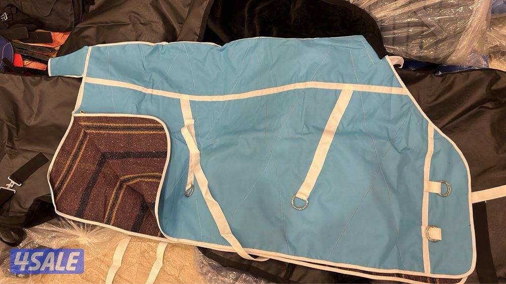 جلال خيل شتوي0