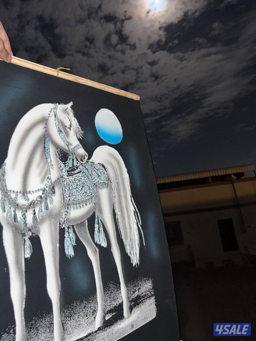 جلال خيل شتوي5