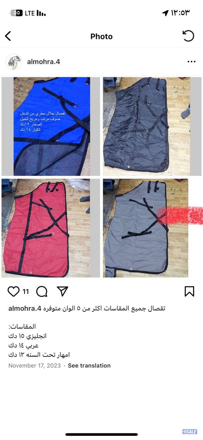 جلال خيل شتوي7