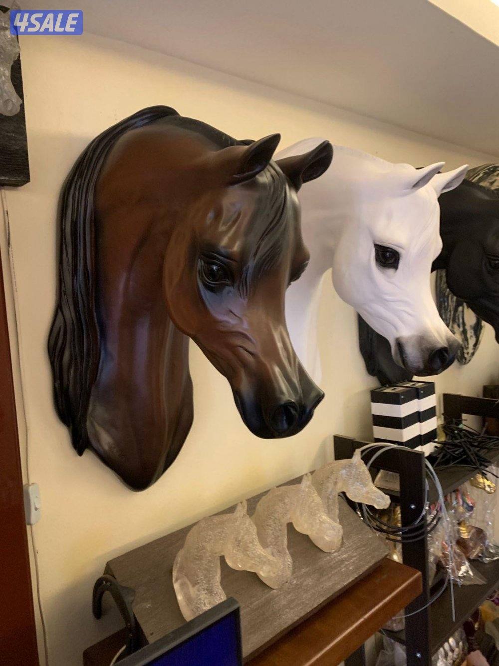 جلال خيل شتوي8