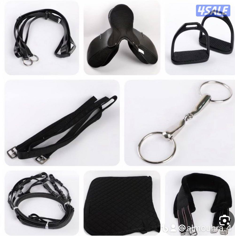 جلال خيل شتوي9