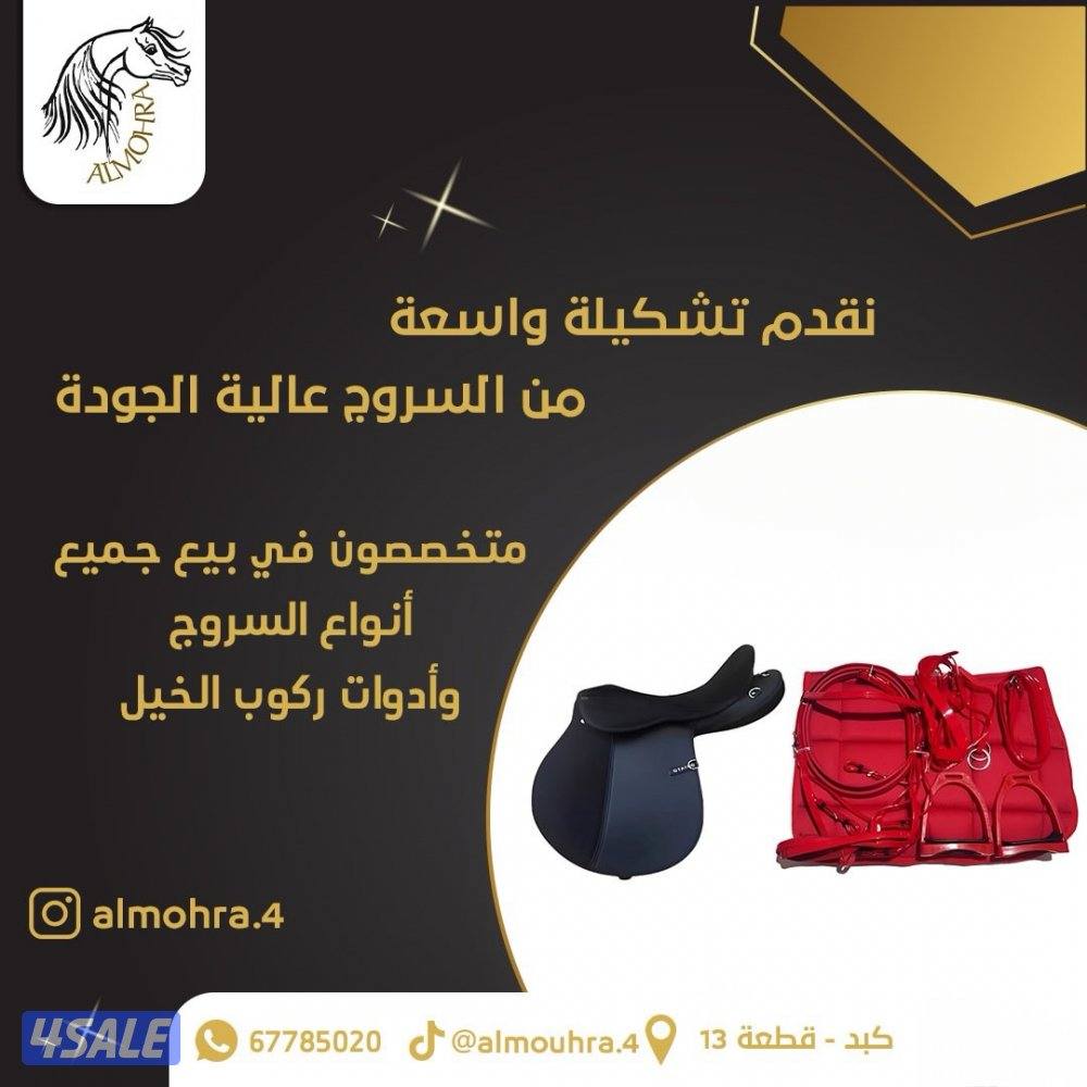 جلال خيل شتوي10