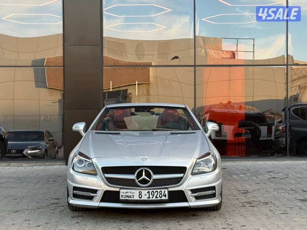 MERCEDES SLK250 _20152