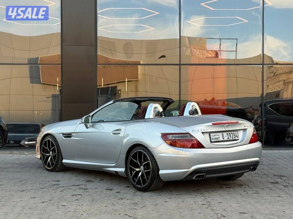MERCEDES SLK250 _20153