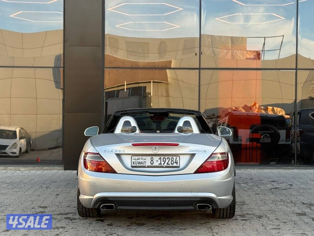 MERCEDES SLK250 _20154