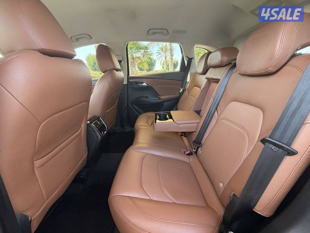 بورغوراد 20196