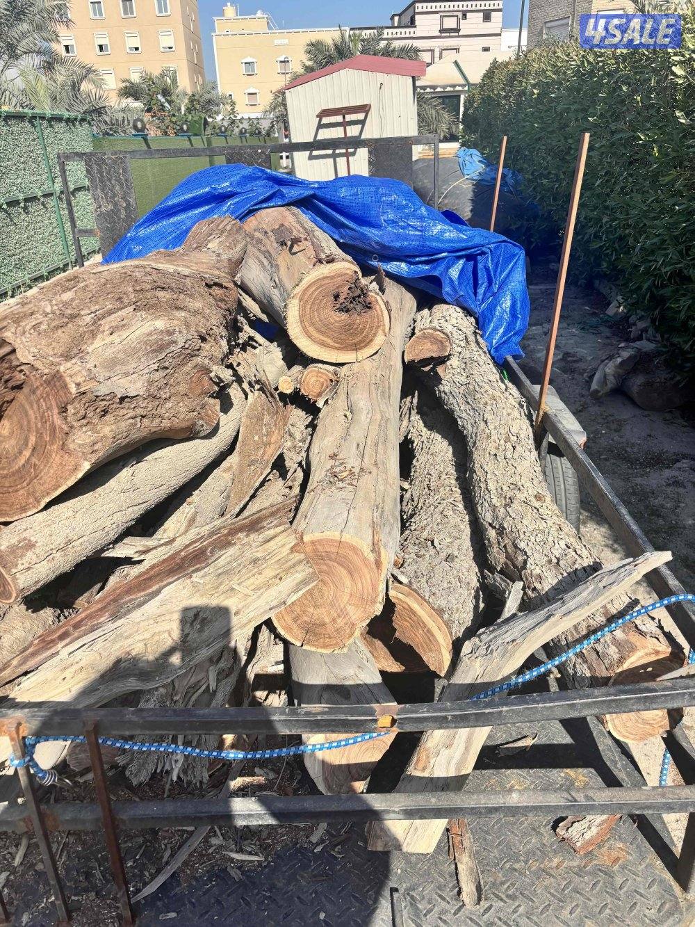 حمول حطب 🪵 مخلوط شرط ناشف حموله HD واص لين عندك يوجد حطب جروم كبار5