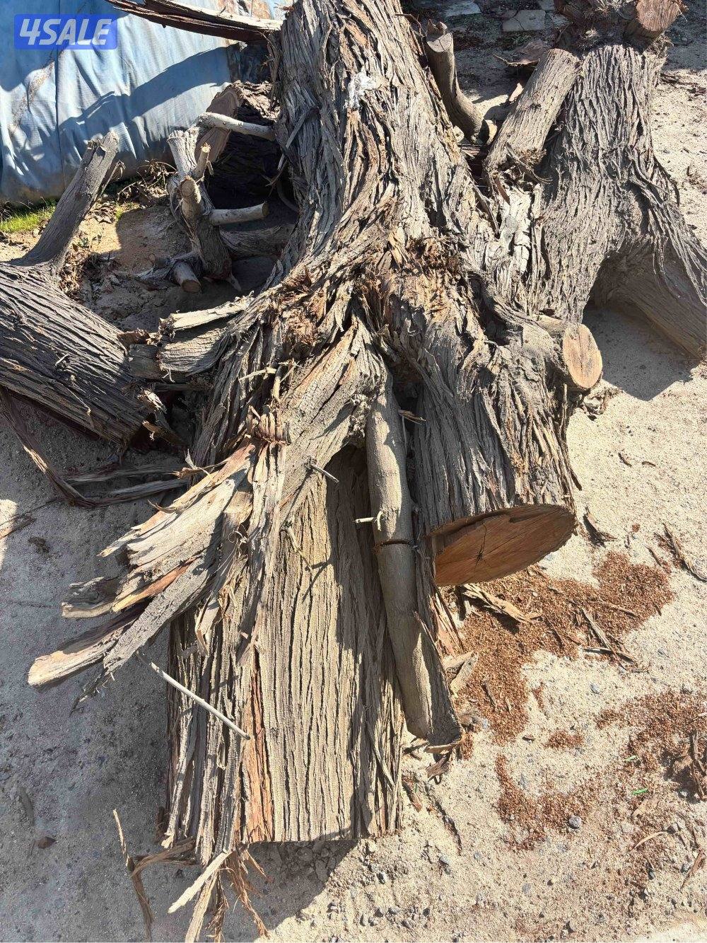 حمول حطب 🪵 مخلوط شرط ناشف حموله HD واص لين عندك يوجد حطب جروم كبار6