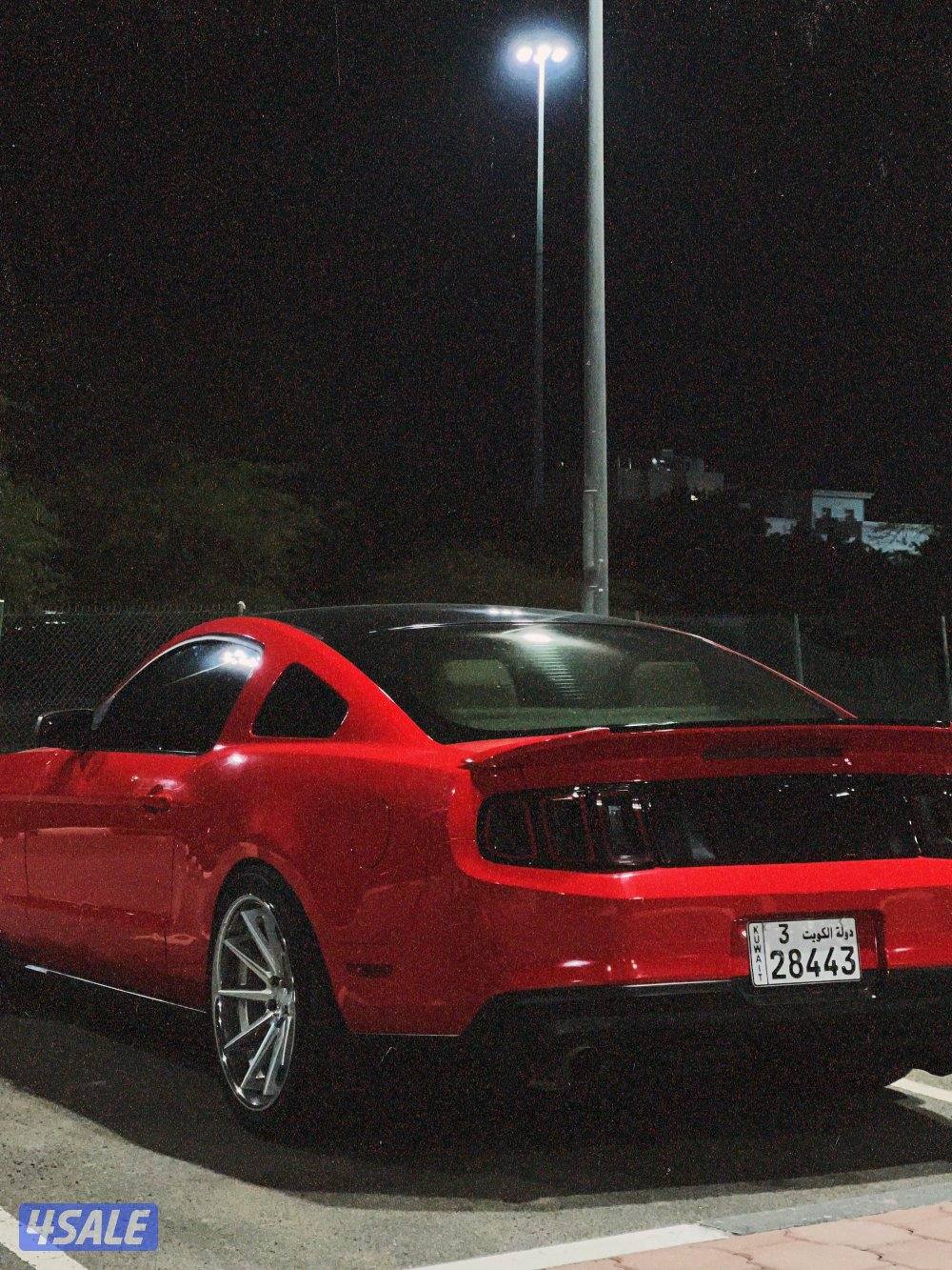 موستنج ٢٠١١5