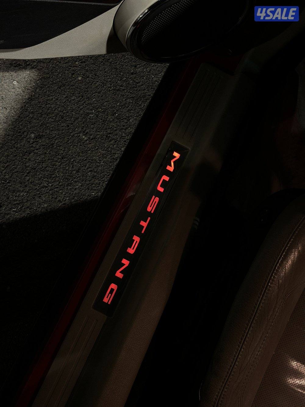 موستنج ٢٠١١6