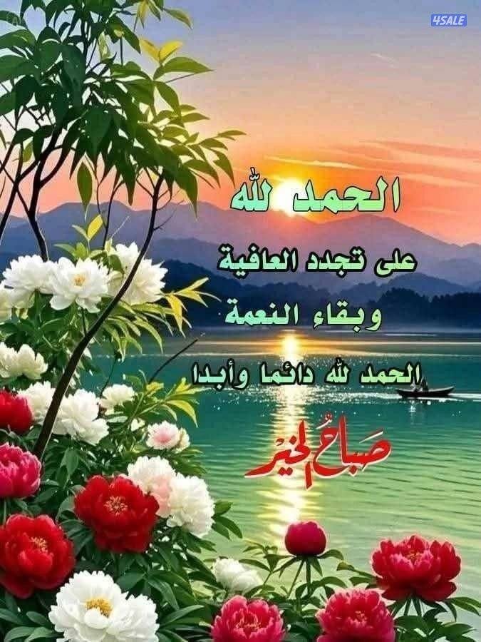 سفاري موديل 2000  الدبل شغال القير شغال بكسسات شغال0