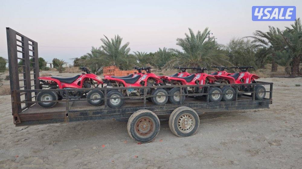 بقيات للعوايل0