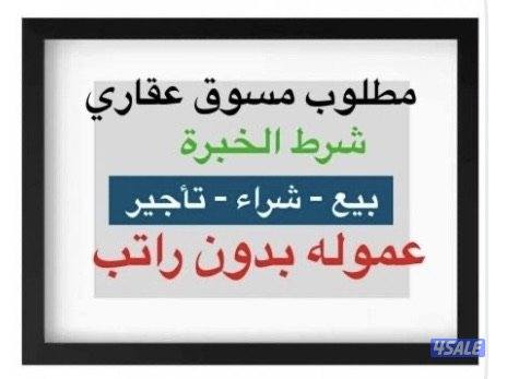 مطلوب مسوق لمكتب عقار0