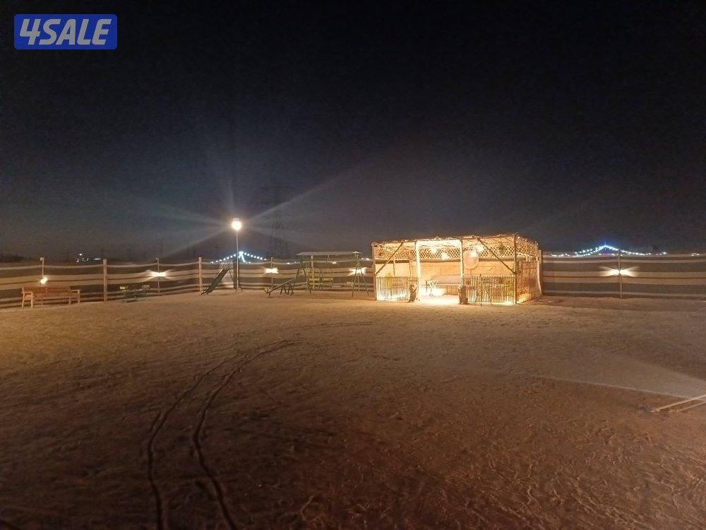 ( المخيم مكون من …
خيمه ٥/٨ قنفات
بيت شعر ٥/٩ جلسه ارضيه مع قنفات
خيمه11