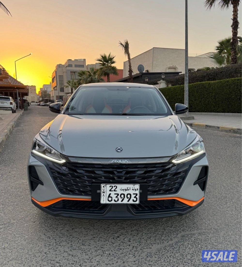 للبيع DFM A30 موديل 2024 عداد 25 صبغ وكالة1