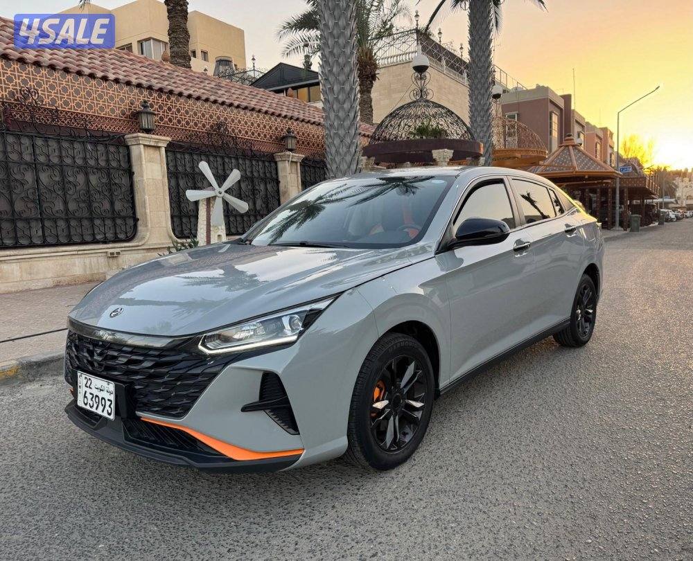 للبيع DFM A30 موديل 2024 عداد 25 صبغ وكالة2