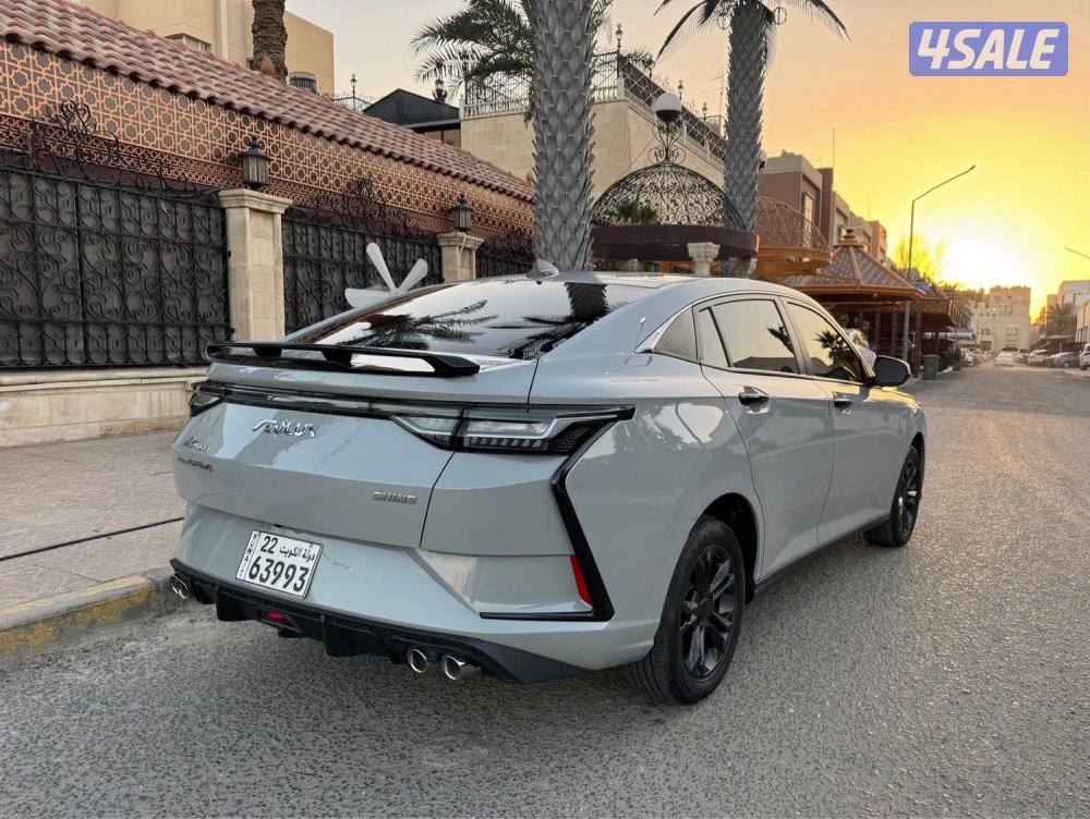 للبيع DFM A30 موديل 2024 عداد 25 صبغ وكالة3