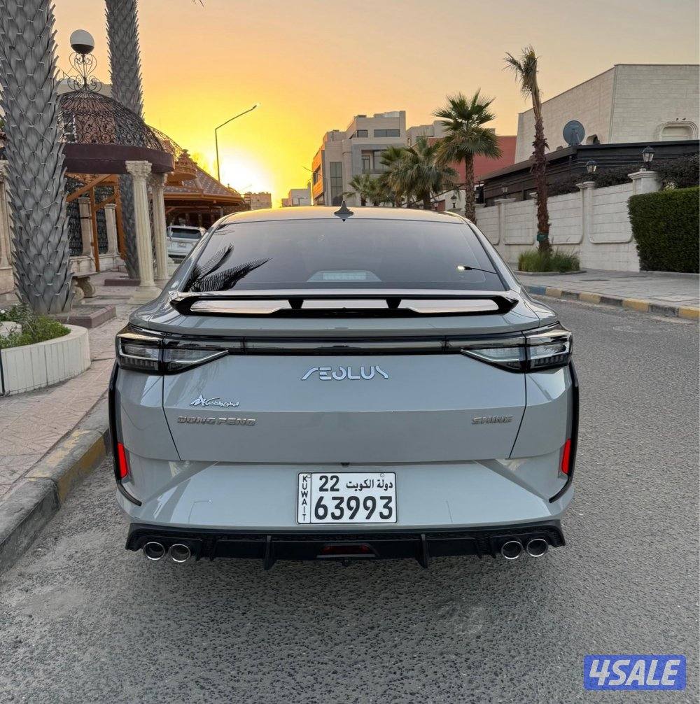 للبيع DFM A30 موديل 2024 عداد 25 صبغ وكالة4