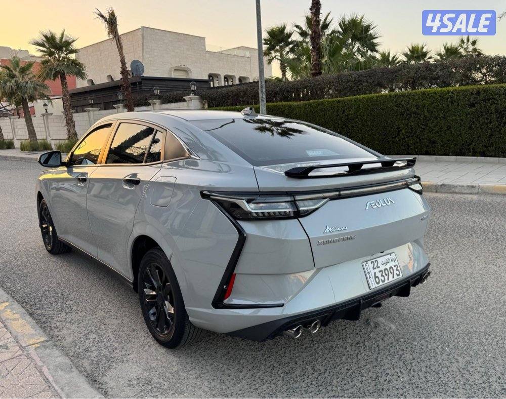 للبيع DFM A30 موديل 2024 عداد 25 صبغ وكالة5