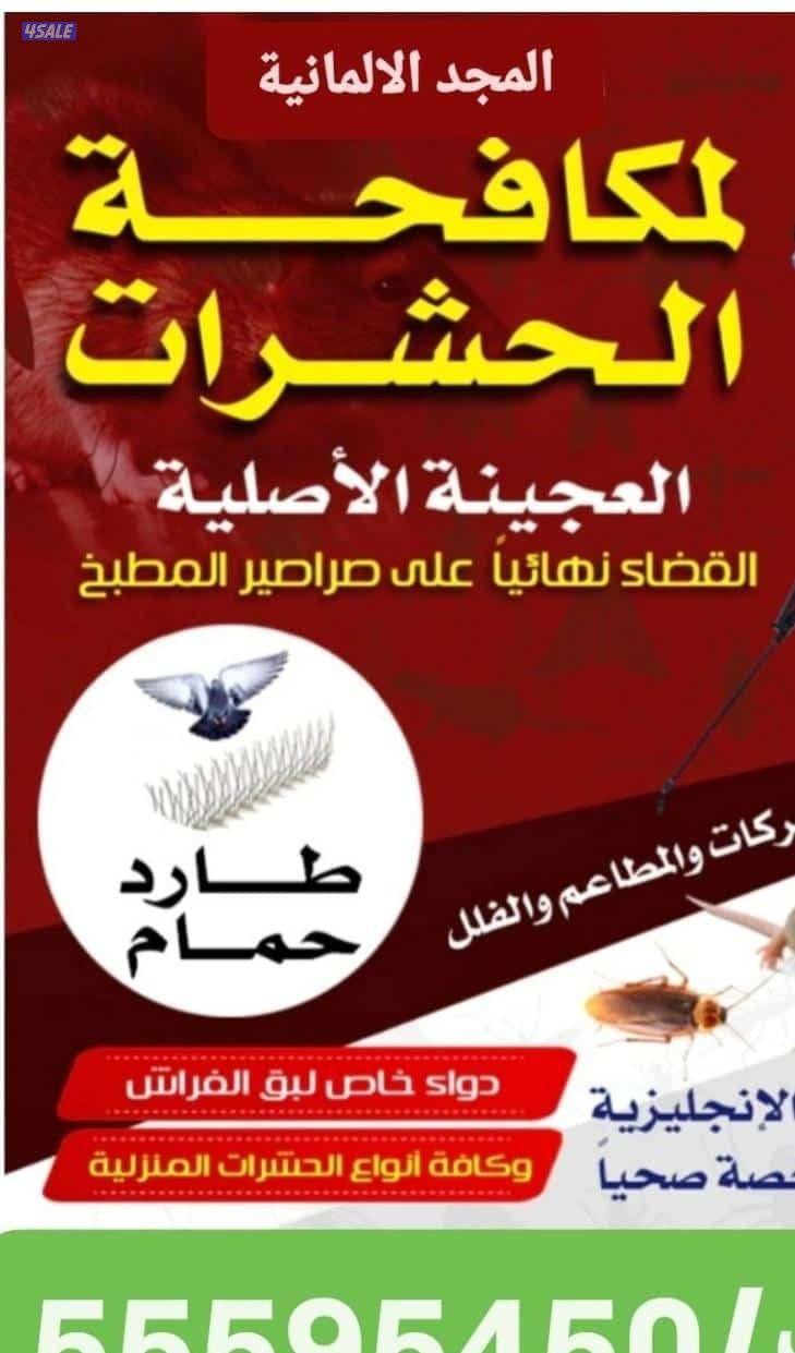 مكافحة حشرات وقوارض جميع مناطق الكويت كفالة سنه مع العجينه الأصليه1