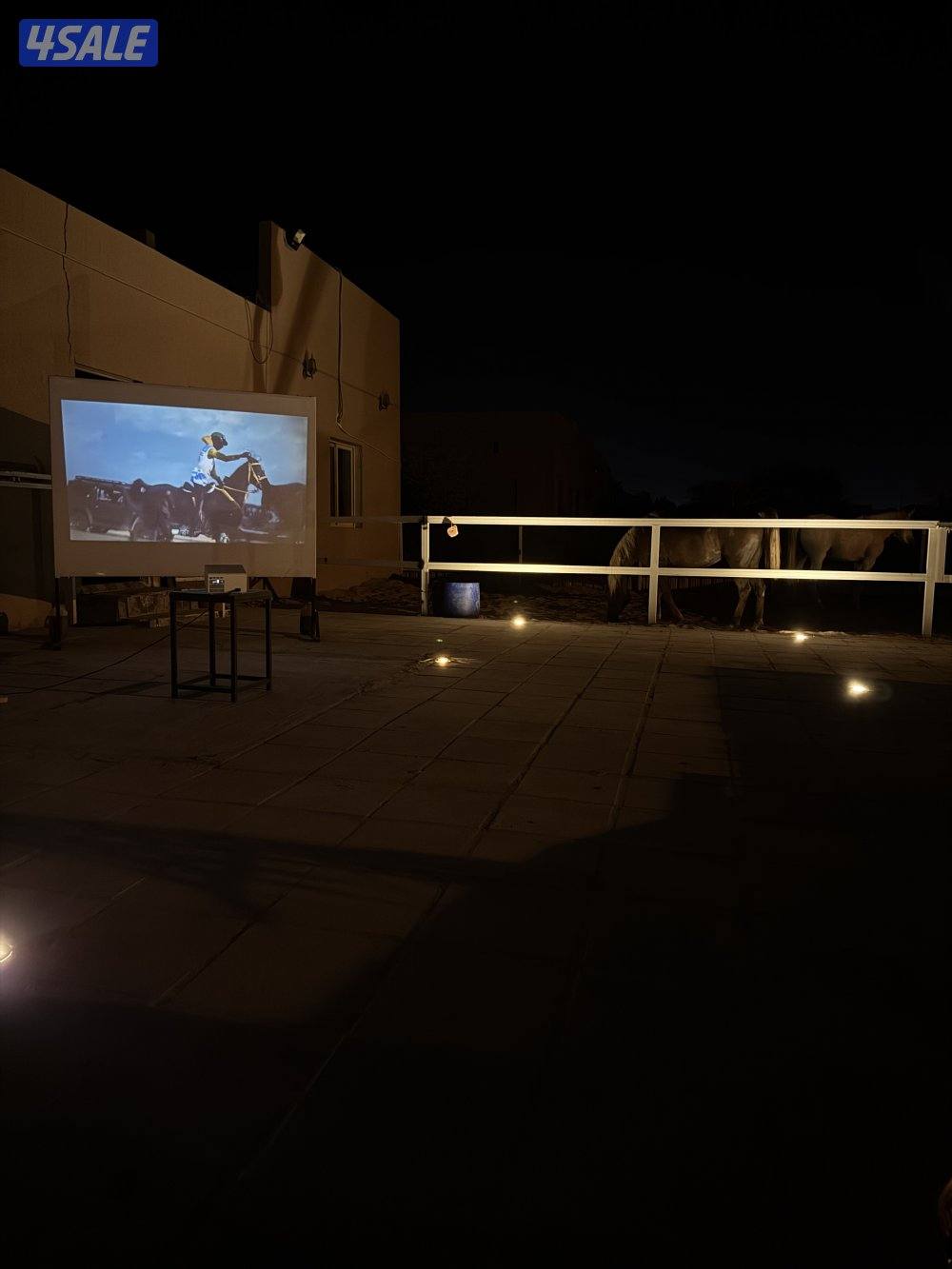 مربط المشهر4