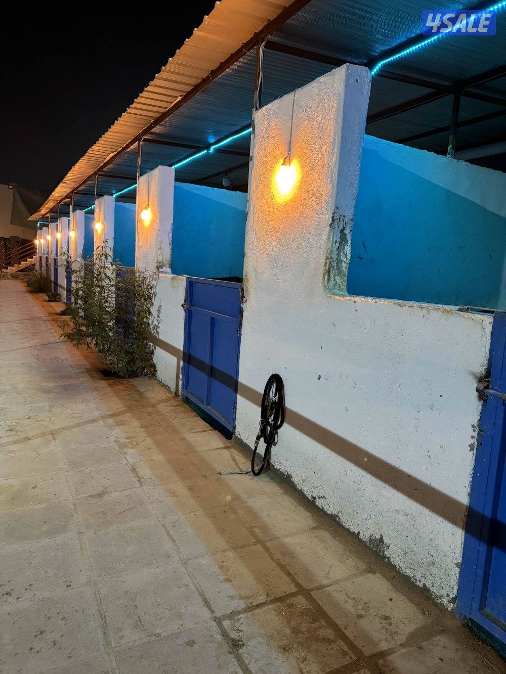 مربط المشهر8